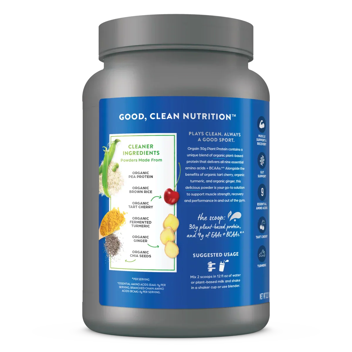 30g Plant Protein Powder - Chocolate